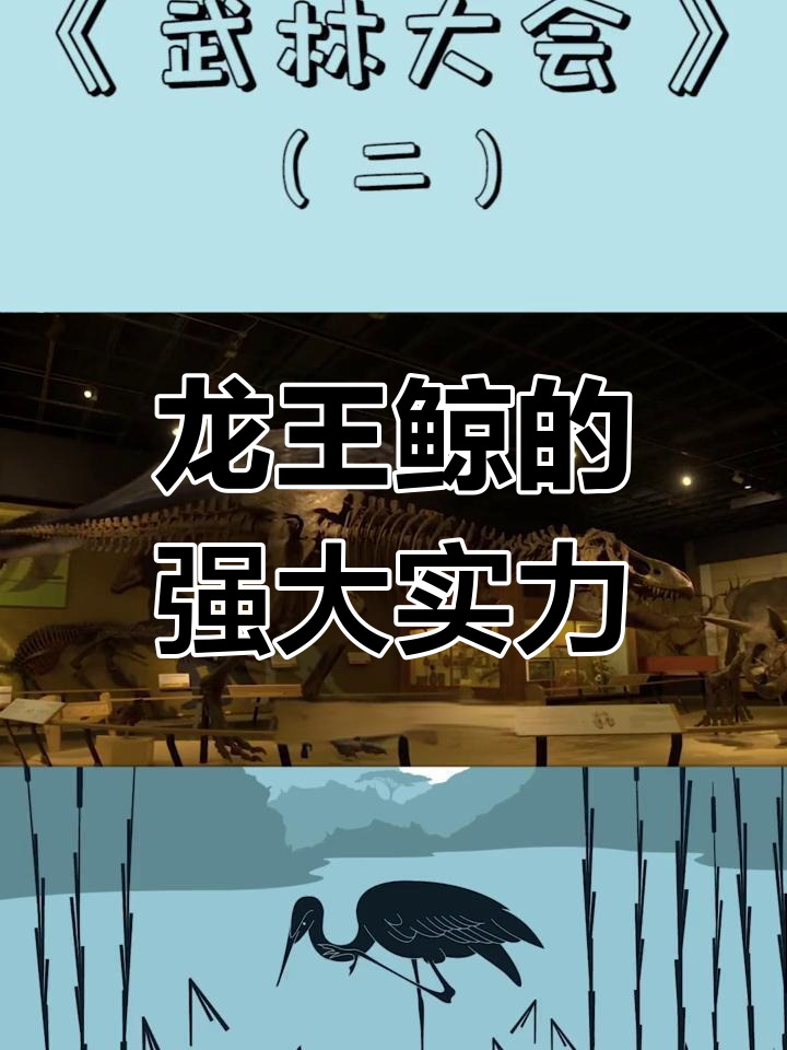 巨齿鲨的天敌图片
