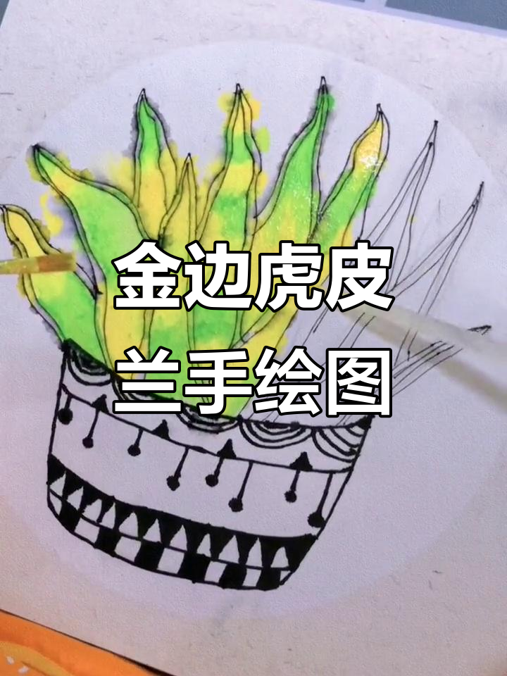 儿童创意画:写实金边虎皮兰,手绘技巧大揭秘