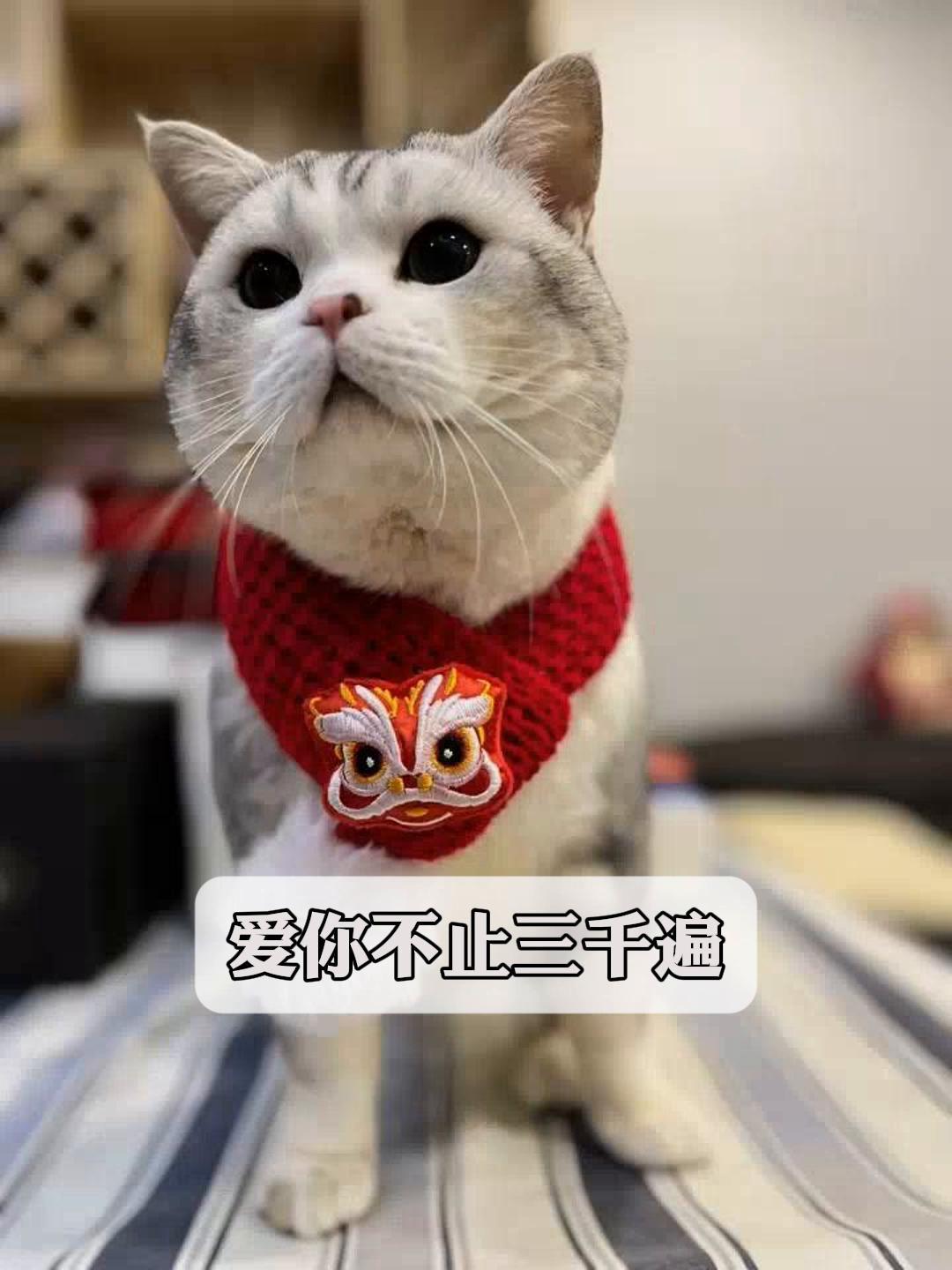 爱你,不止三千遍