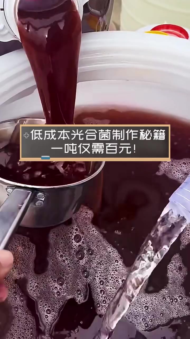 低成本光合菌制作秘籍,一吨仅需百元!