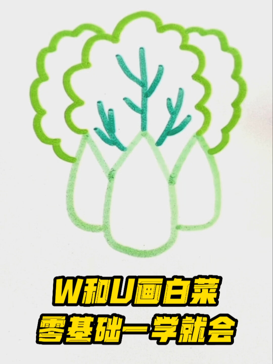 白菜简笔画