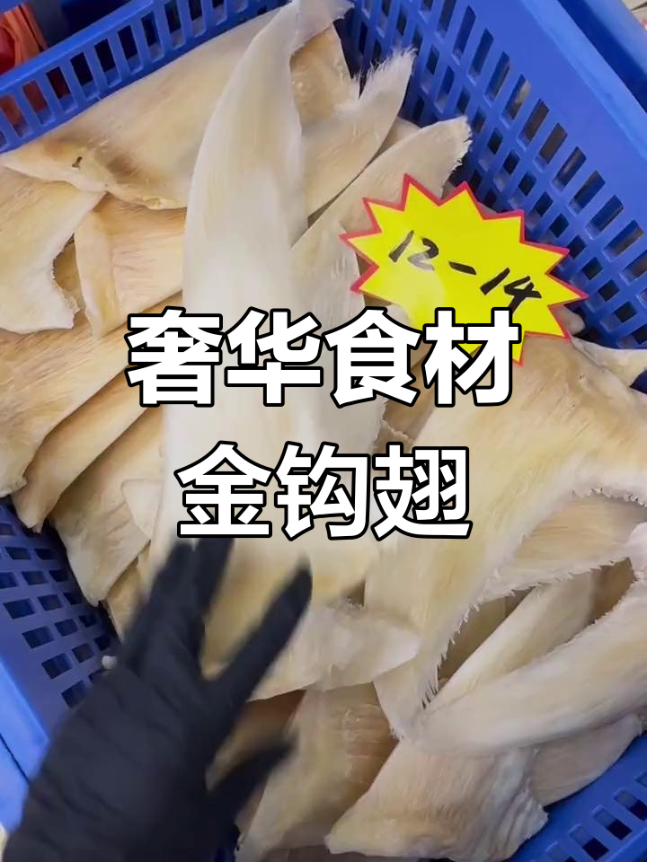 金钩翅是什么鱼的翅图片