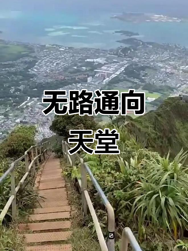 通往天堂的路,似乎并不顺畅