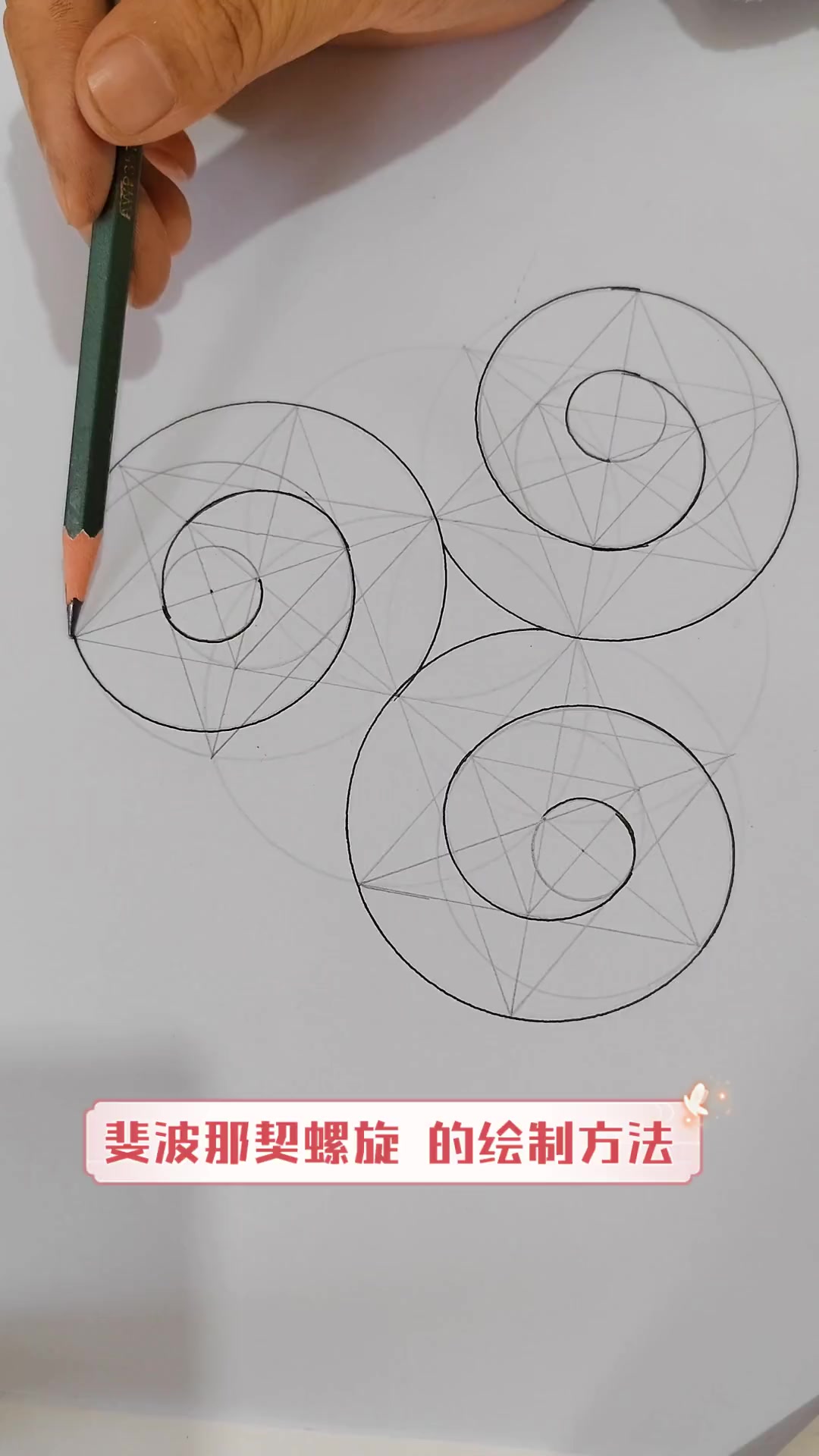 斐波那契螺旋,的绘制方法