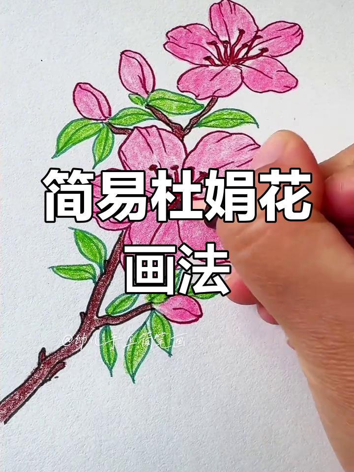 用椭圆画杜鹃花,简单又好看