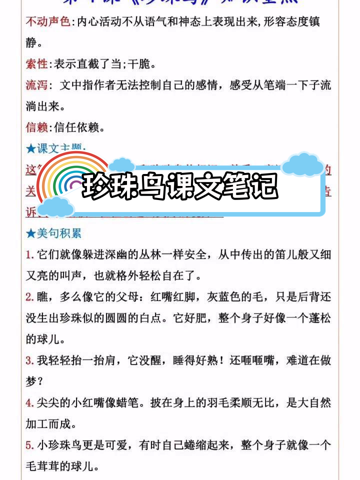 珍珠鸟中心思想图片