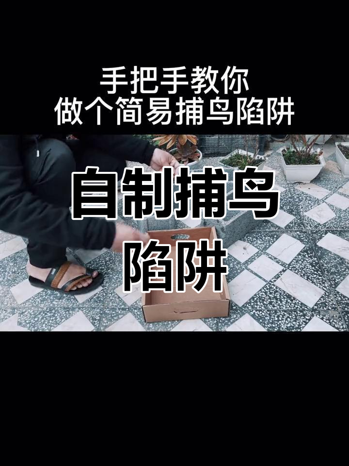 简易陷阱的制作方法图片