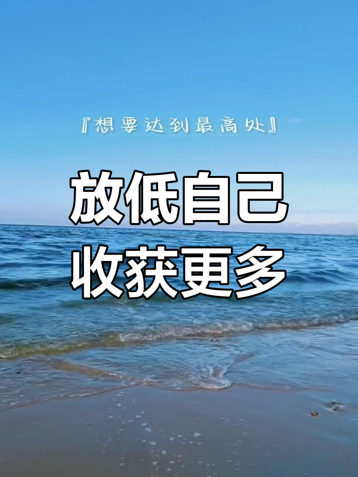 只有放低姿态,才能接纳更多