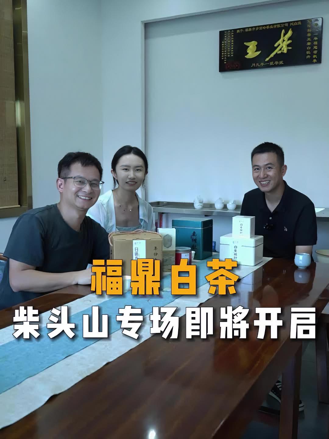 福鼎白茶源产地 柴头山白茶 白琳工夫红茶