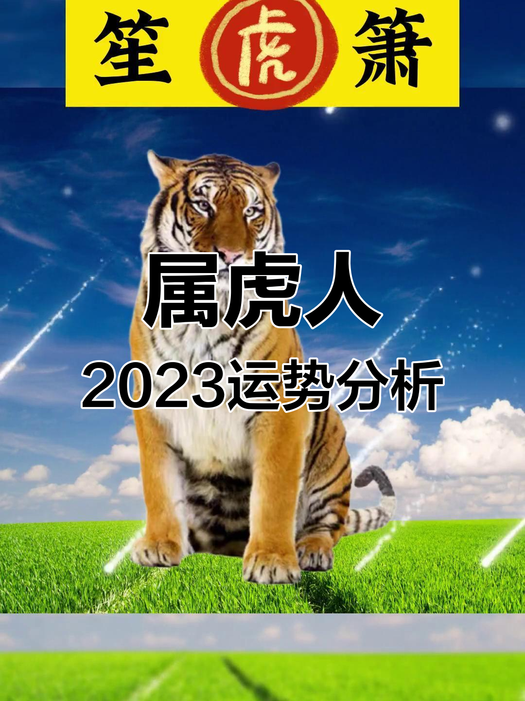 今日生肖属虎财运运势查询(今曰属虎的财运)