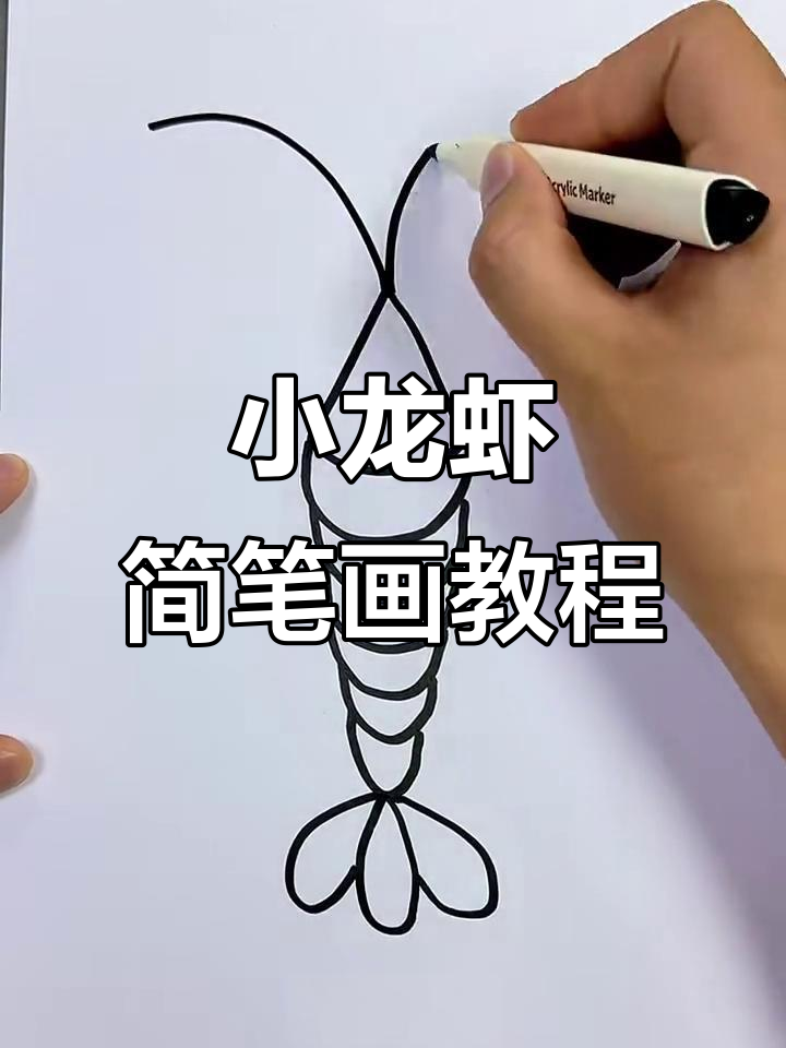 简单步骤教你画小龙虾,轻松搞定!