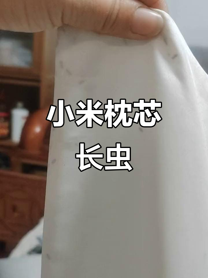小米皮枕芯竟然生虫了,快检查一下你的枕头!