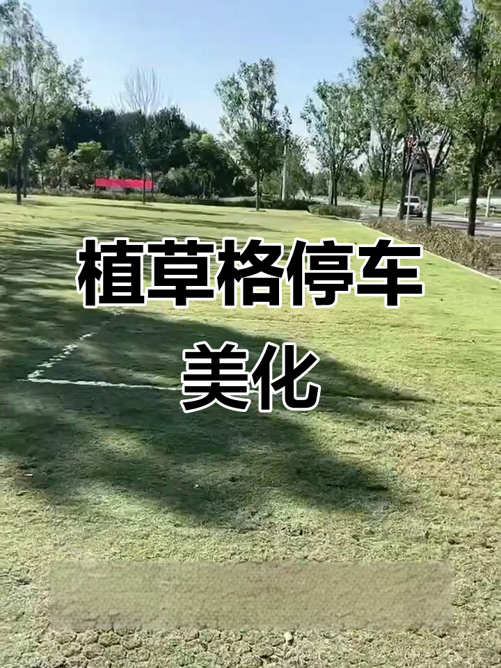 纸草格打造生态停车场,效果惊艳!