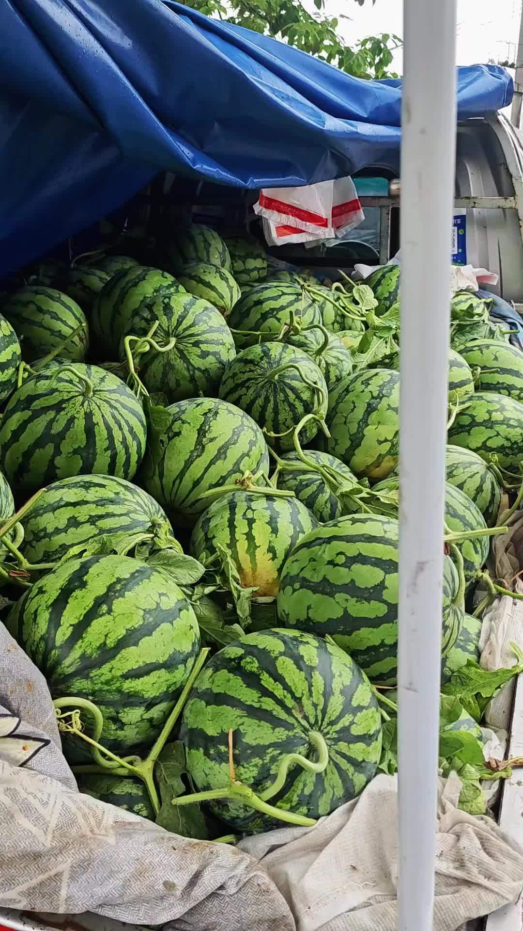 摆摊卖西瓜 抖音记录农村生活 优质农产品 卖水果我们很认真的 农村