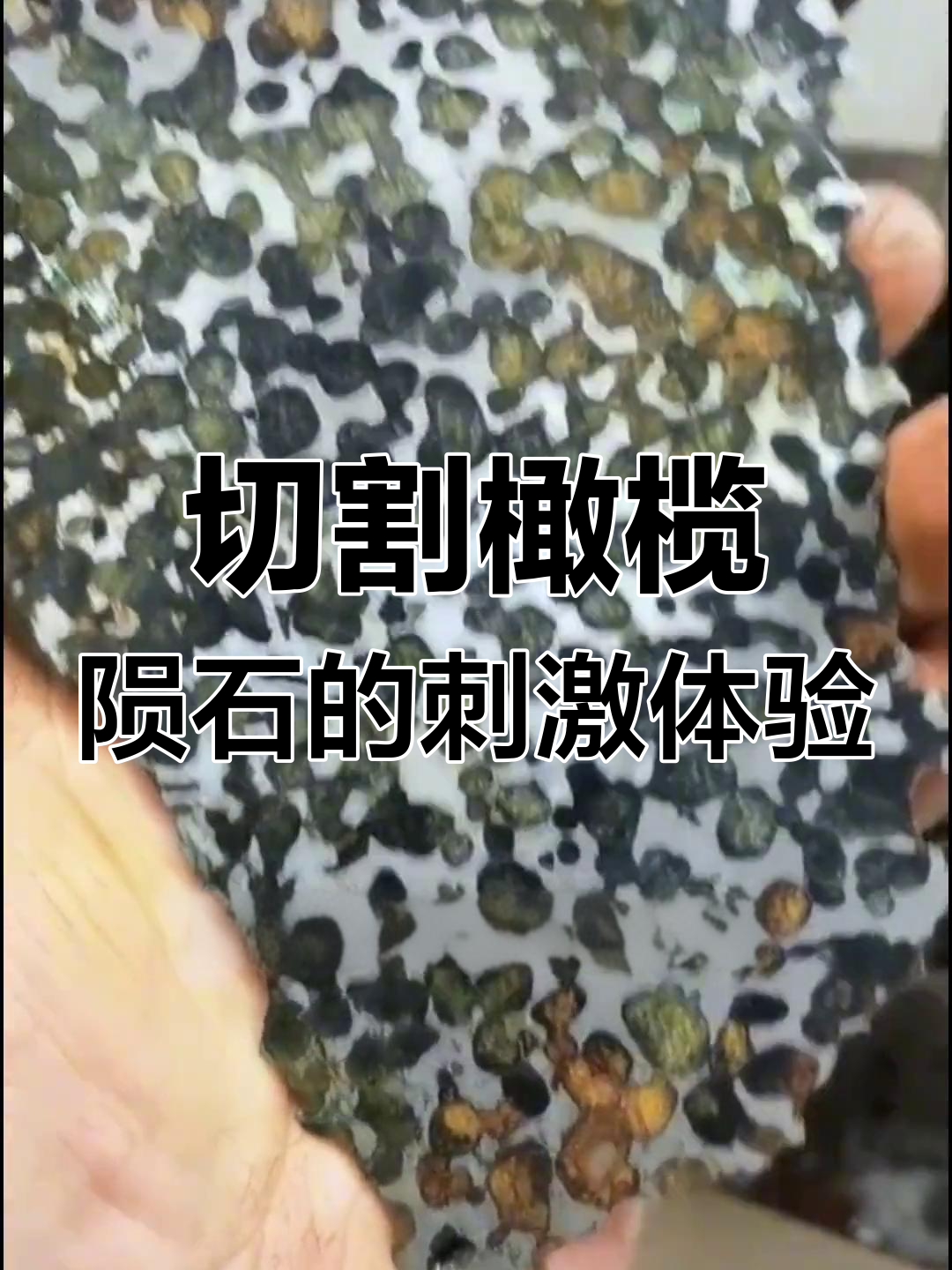 赌石切块橄榄陨石