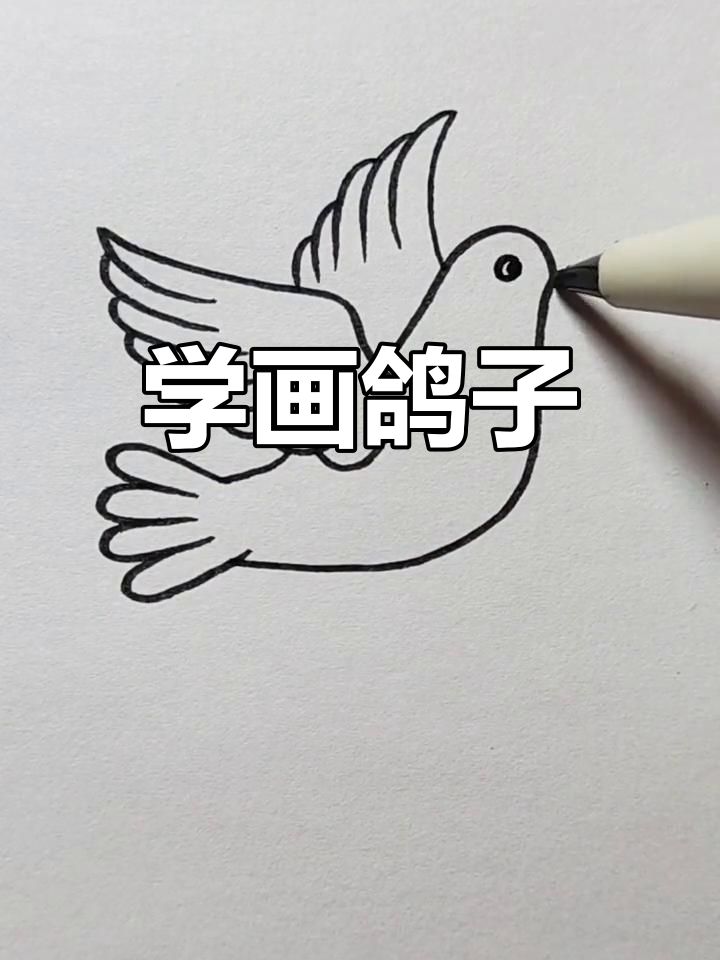 一笔巧画鸽子方法图片