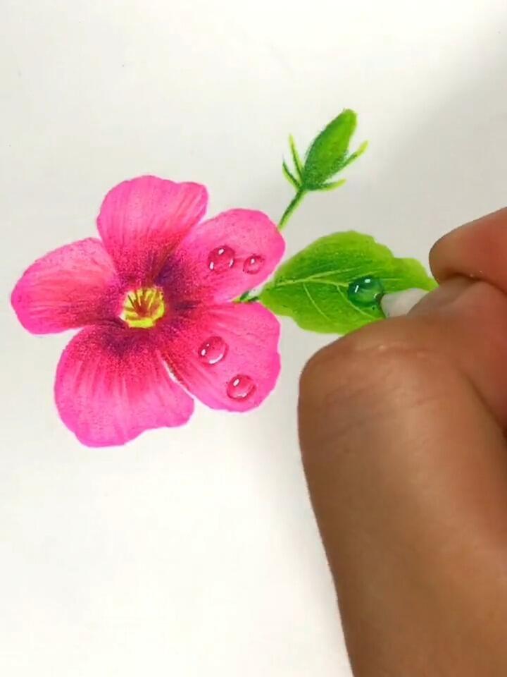 一分钟教你画桃花