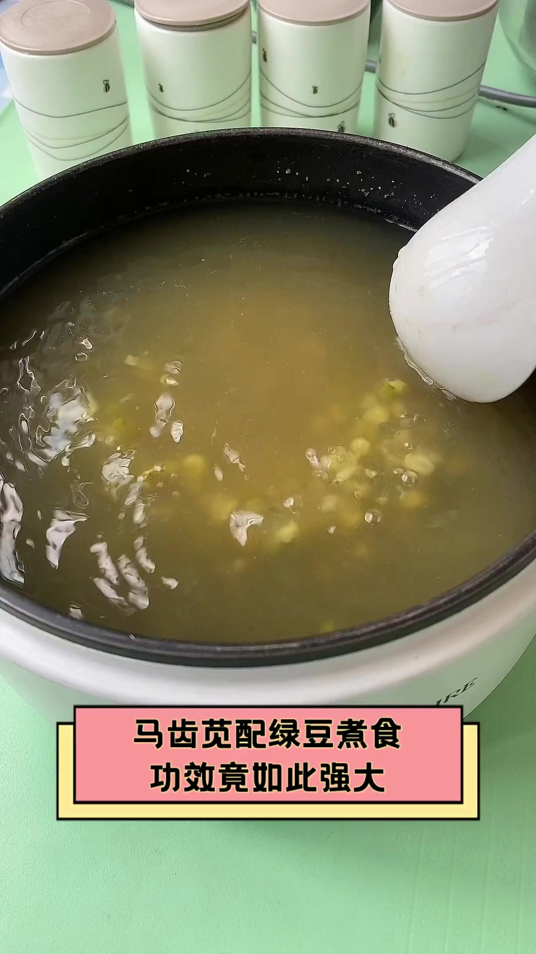 马齿苋绿豆汤图片