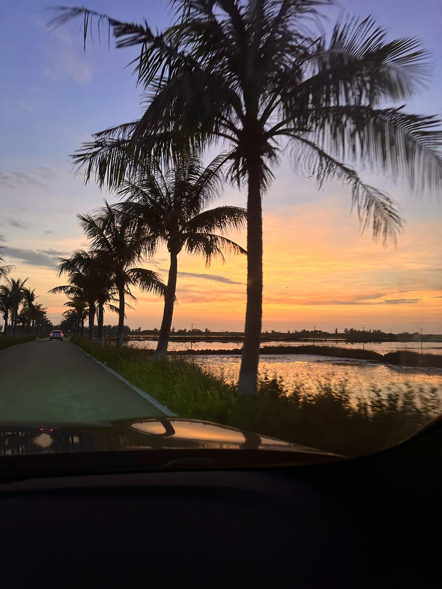 湛江徐闻南极村