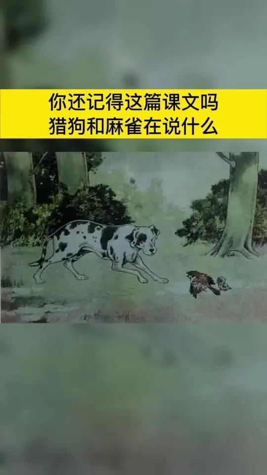 麻雀猎狗图片图片