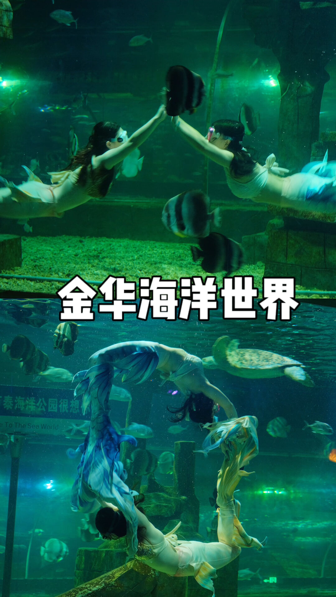 金华海洋世界放假好去处