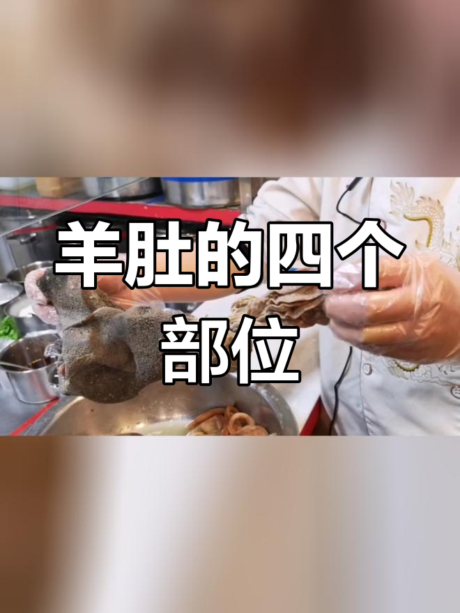 羊胃的四个部分,你了解吗?