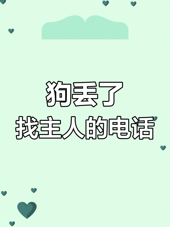 狗狗走丢,电话号码丢失,急寻主人