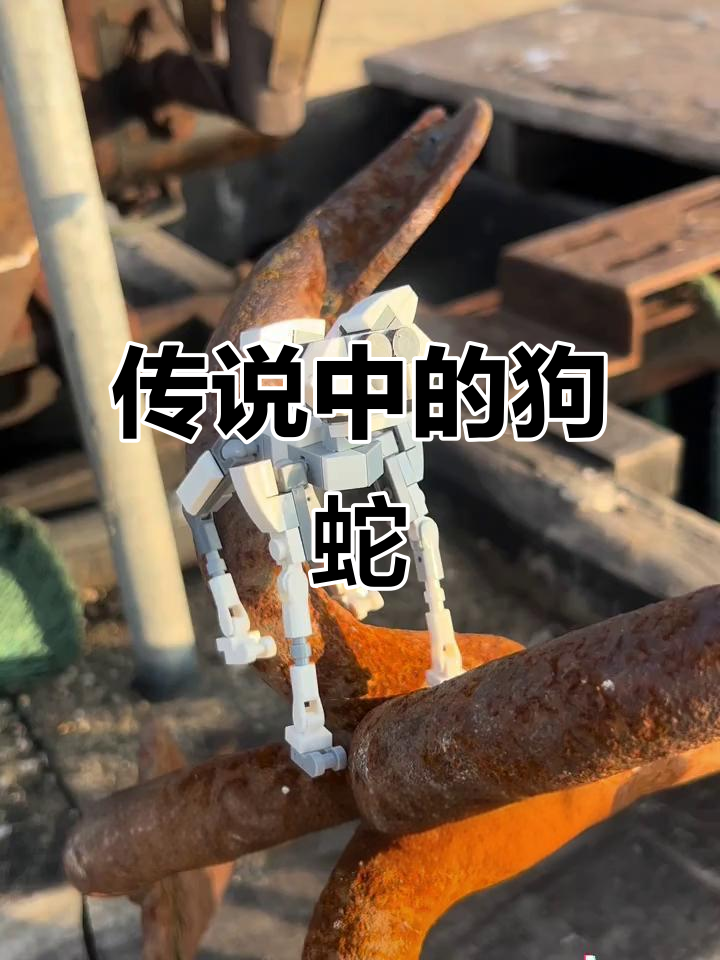 这只狗蛇太怪异了,细腿长耳让人毛骨悚然