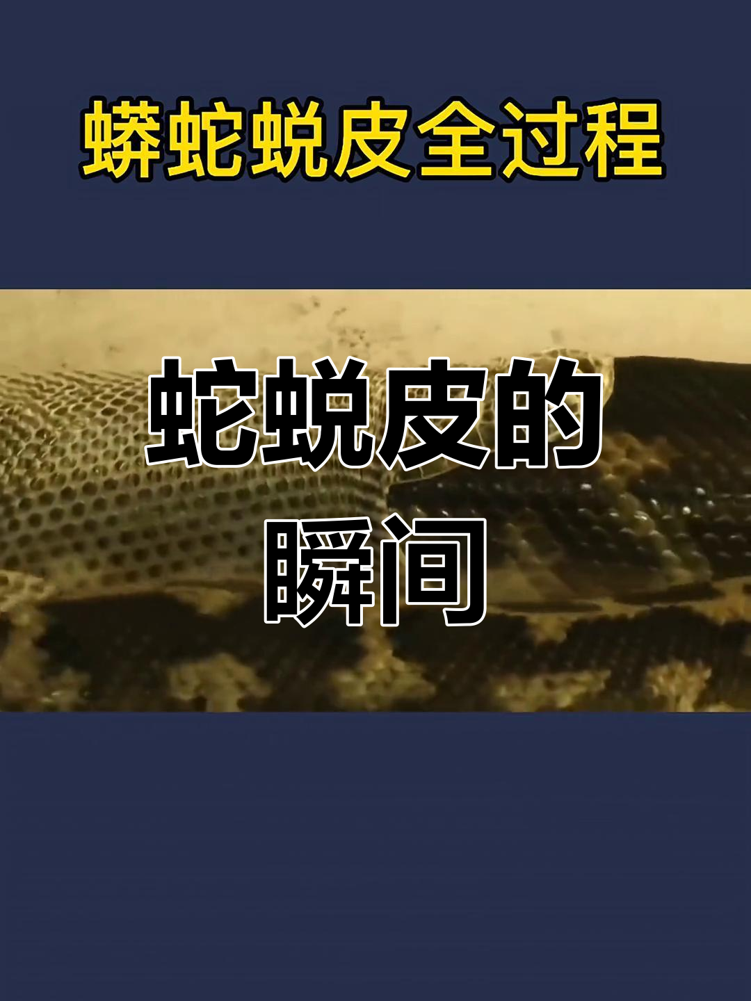 1080_1440竖版 竖屏gif 动态图 动图