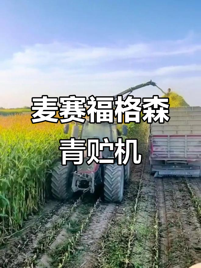 麦赛福格森悬挂式青贮机,助力农业高效作业