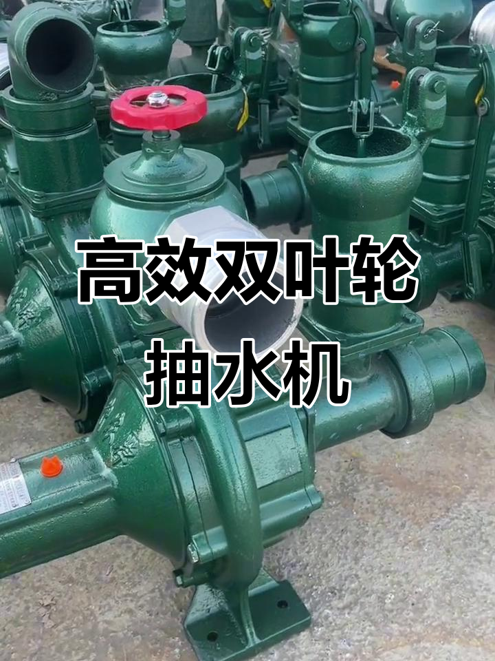 双叶轮高压水泵,150米扬程90立方流量,免维护设计更方便