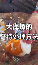 印度人独特处理大海螺，方法令人惊讶！