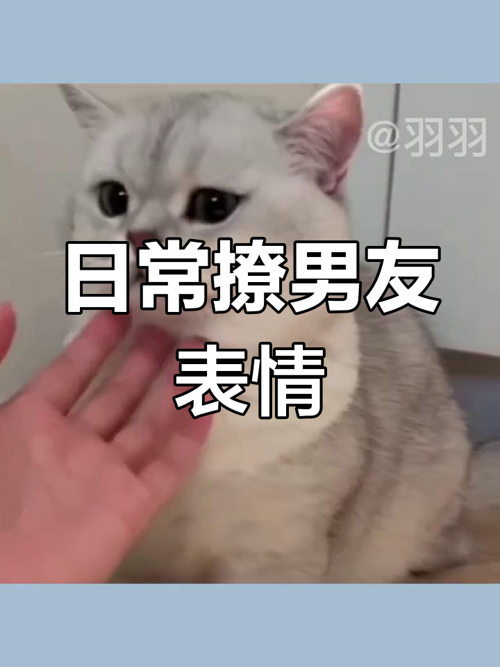 撩男友必备表情包,轻松收藏