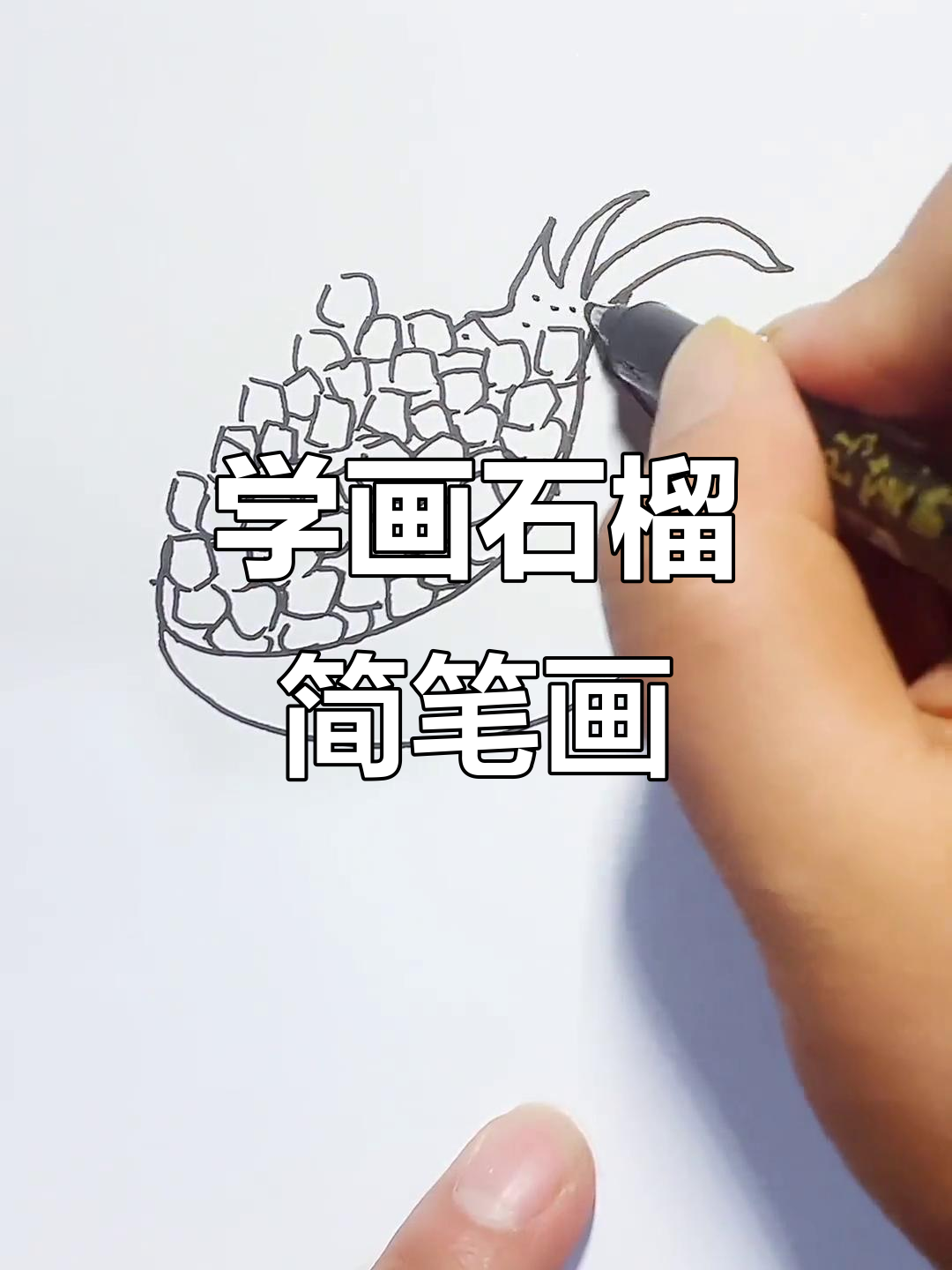 零基础学画石榴,简单又有趣