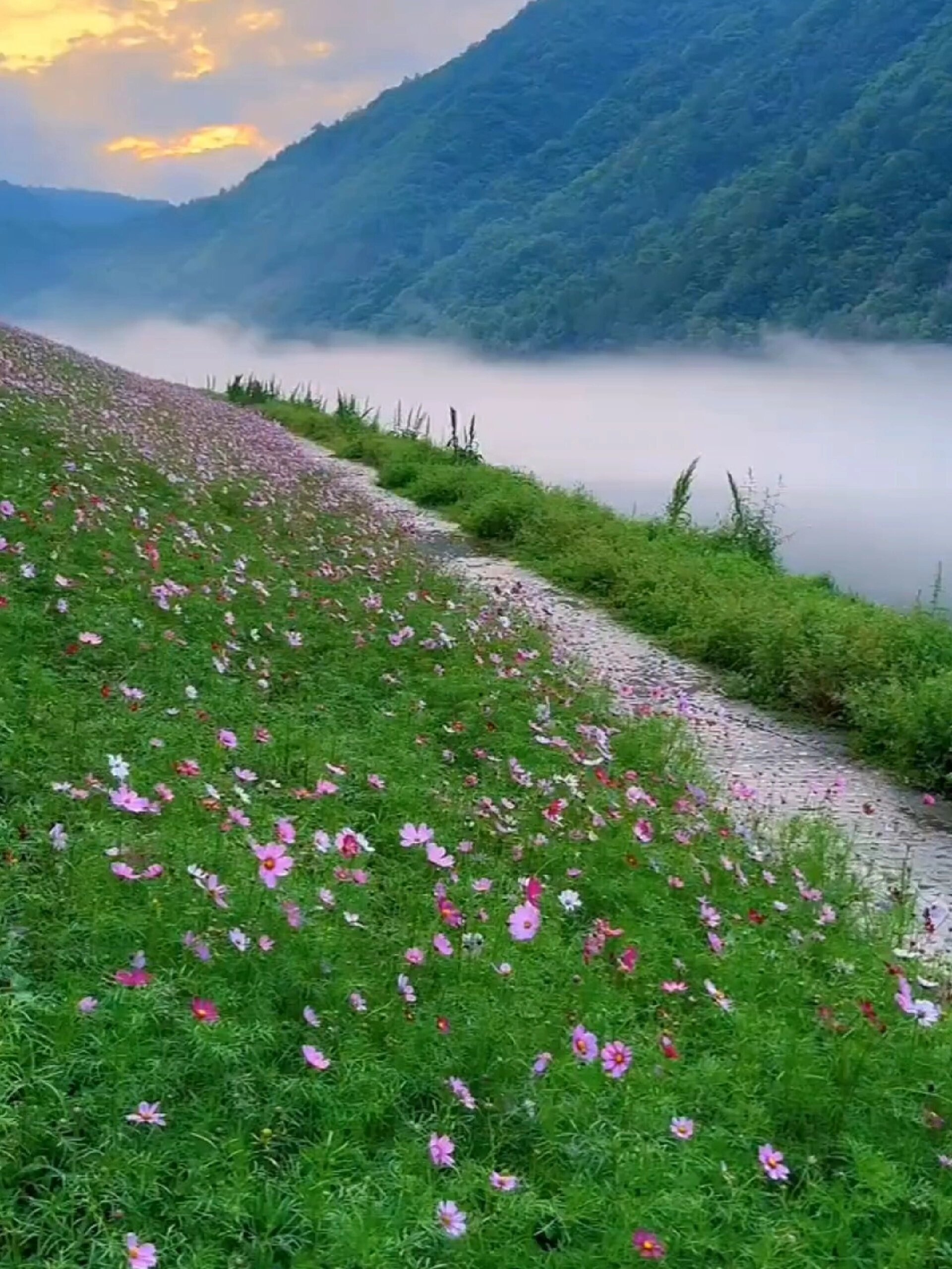 打卡十堰方滩堵河画廊