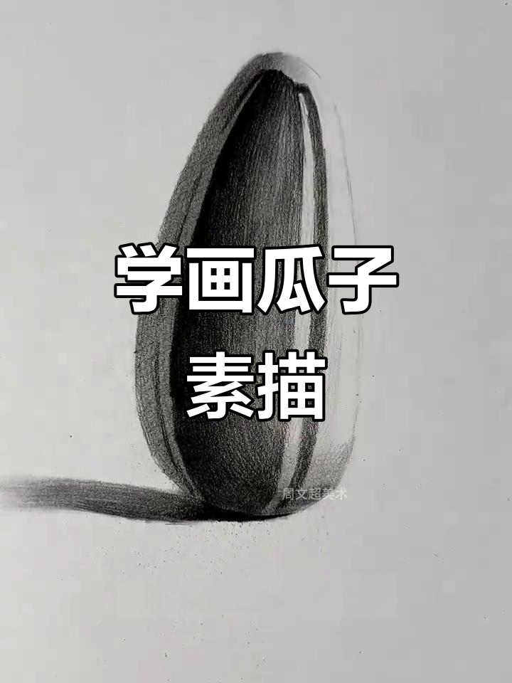 轻松学会瓜子素描,步骤详解打造完美效果
