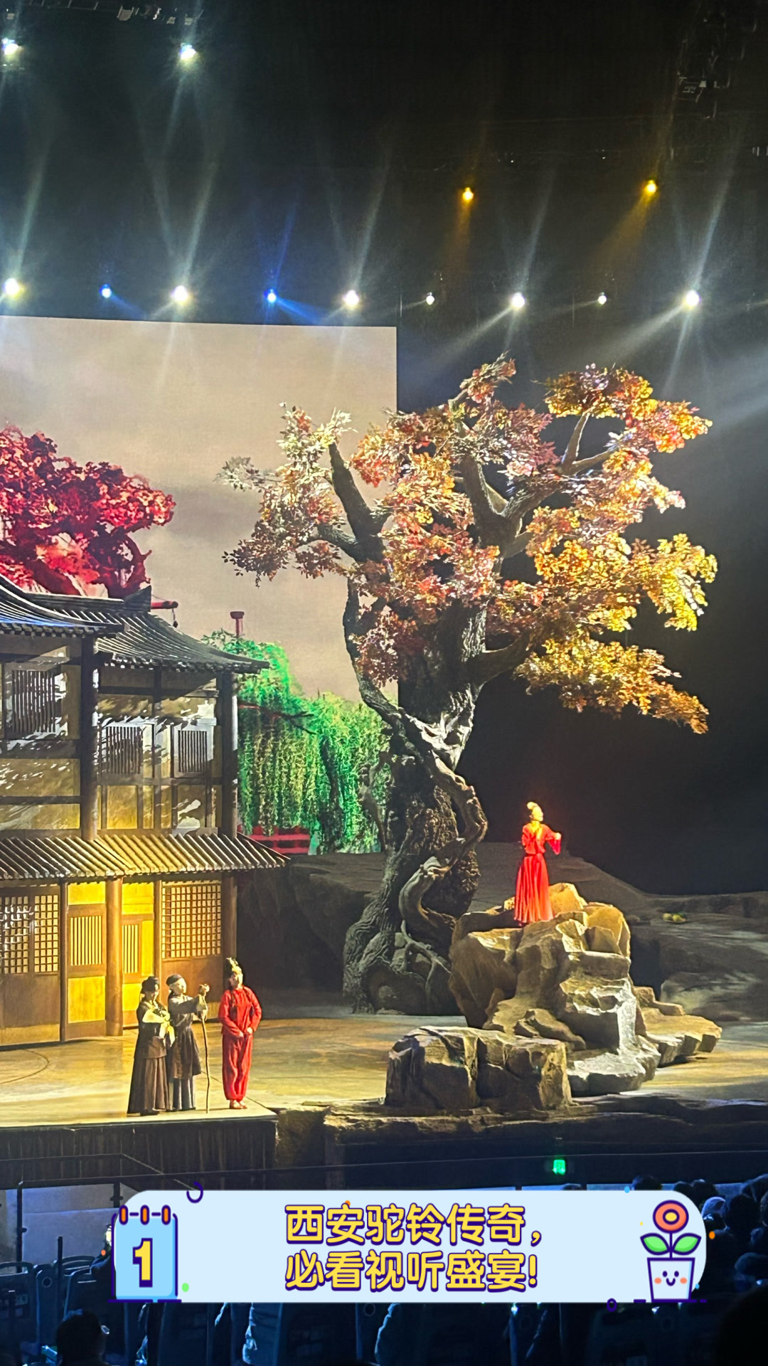 西安驼铃传奇,必看视听盛宴!