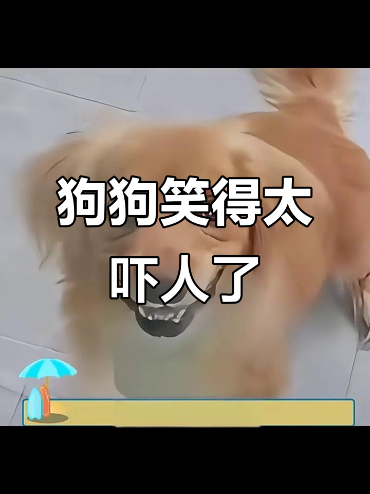 这只狗笑得让人毛骨悚然,简直能演恐怖片