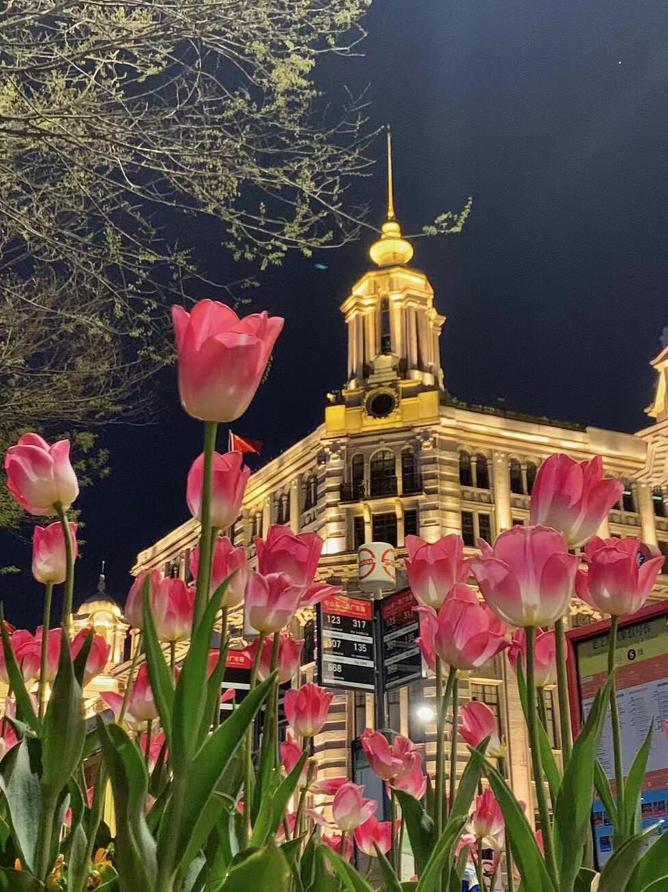 周末vlog|上海外滩93郁金香的春天 好浪漫-度小视