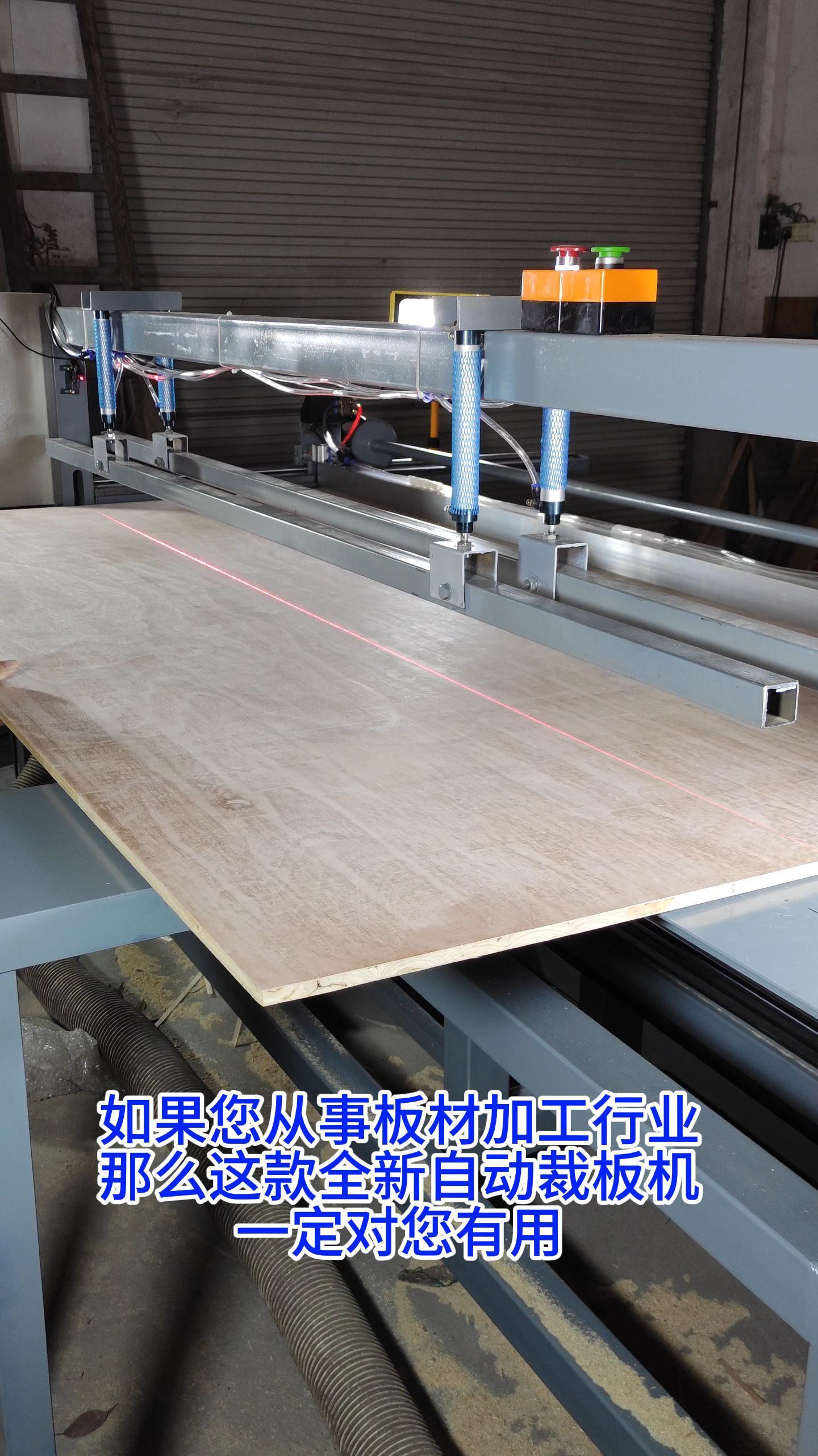 电子裁板锯 木材加工 木工机械设备 生态板 厂家实拍