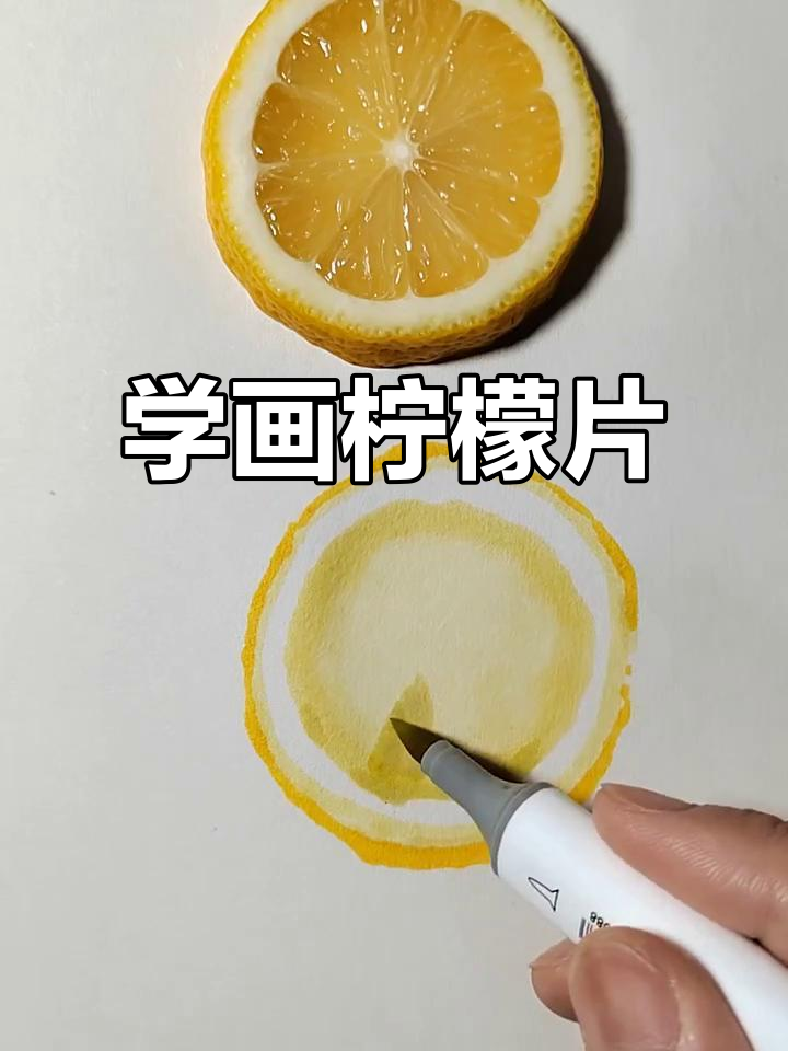 零基础学画柠檬片,马克笔写生技巧大公开