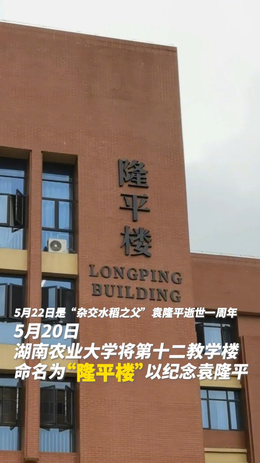 今天,湖南农业大学将第十二教学楼命名为隆平楼"以纪念袁老