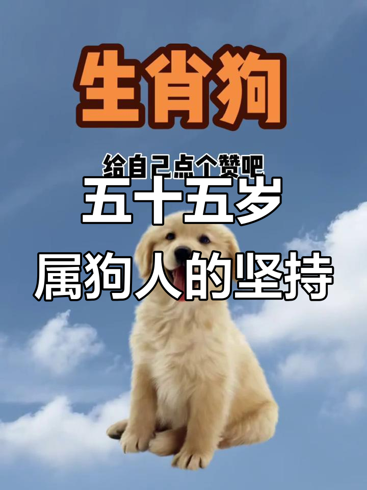 50岁生肖狗今年运势(属狗50岁以后的运势)