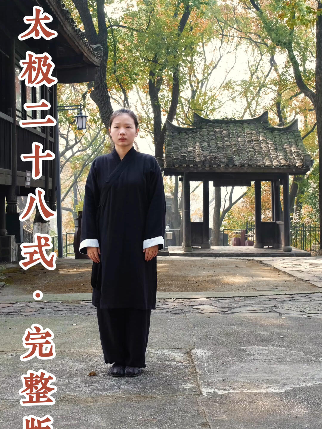 武当太极28式·完整版