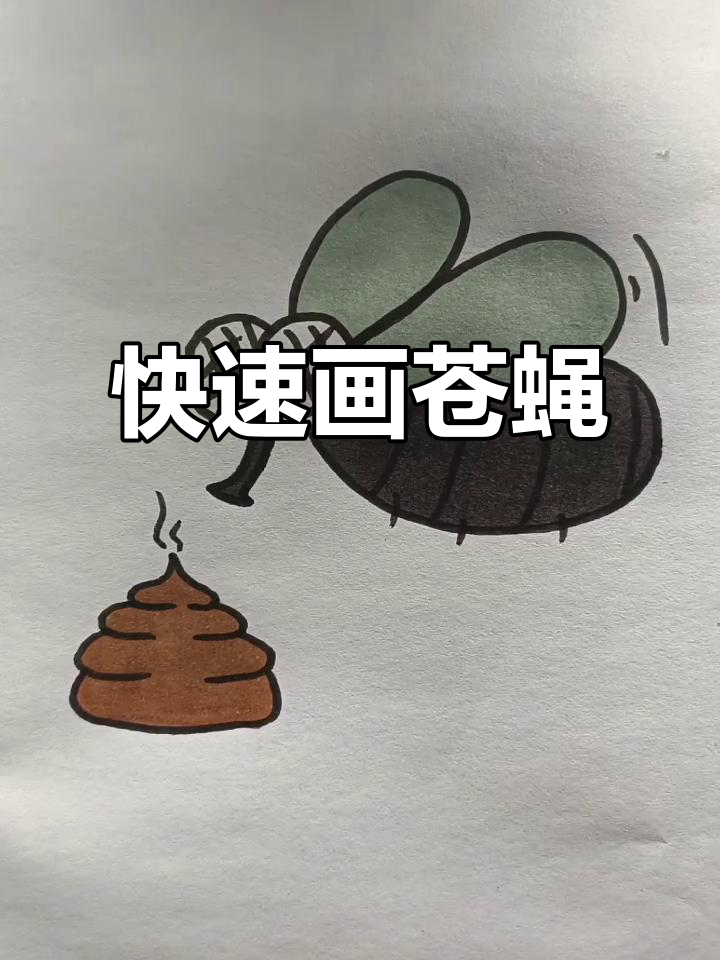 超简单苍蝇简笔画,轻松学会!
