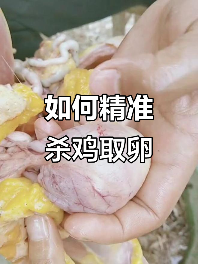正确杀鸡取卵,操作技巧全揭秘
