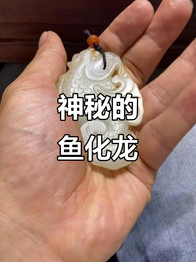 鱼化龙,明末清初的神秘象征,形态独特,趣味无穷