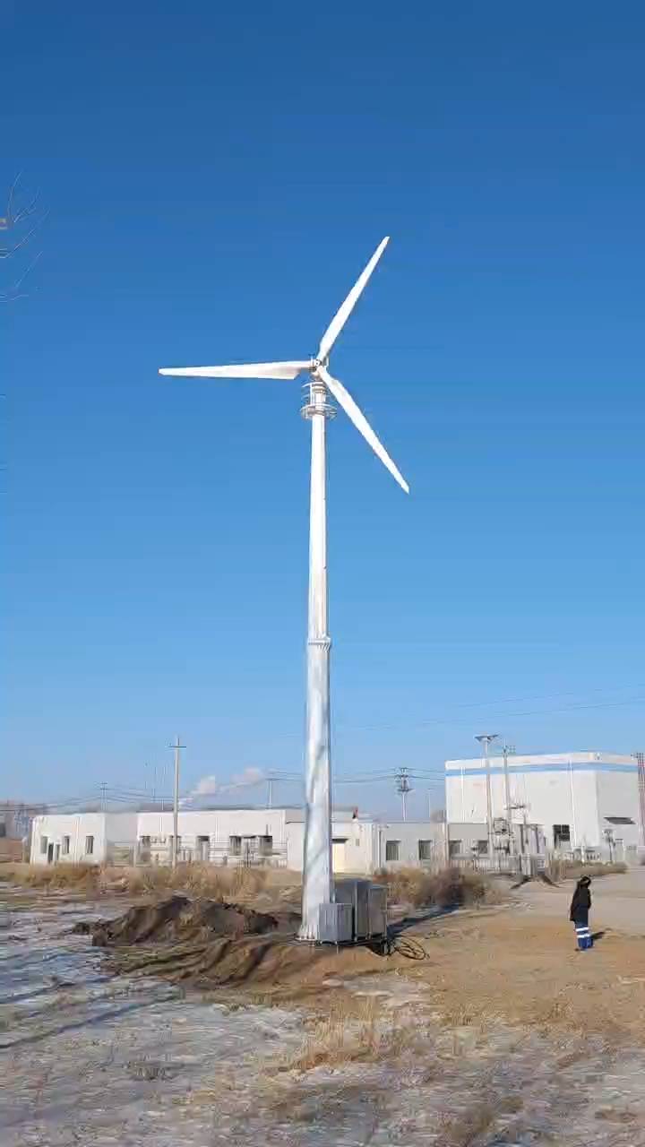 电控型风力发电机