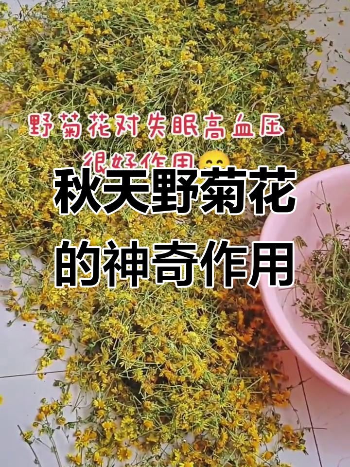 秋天的野菊花,枕头一枕治失眠