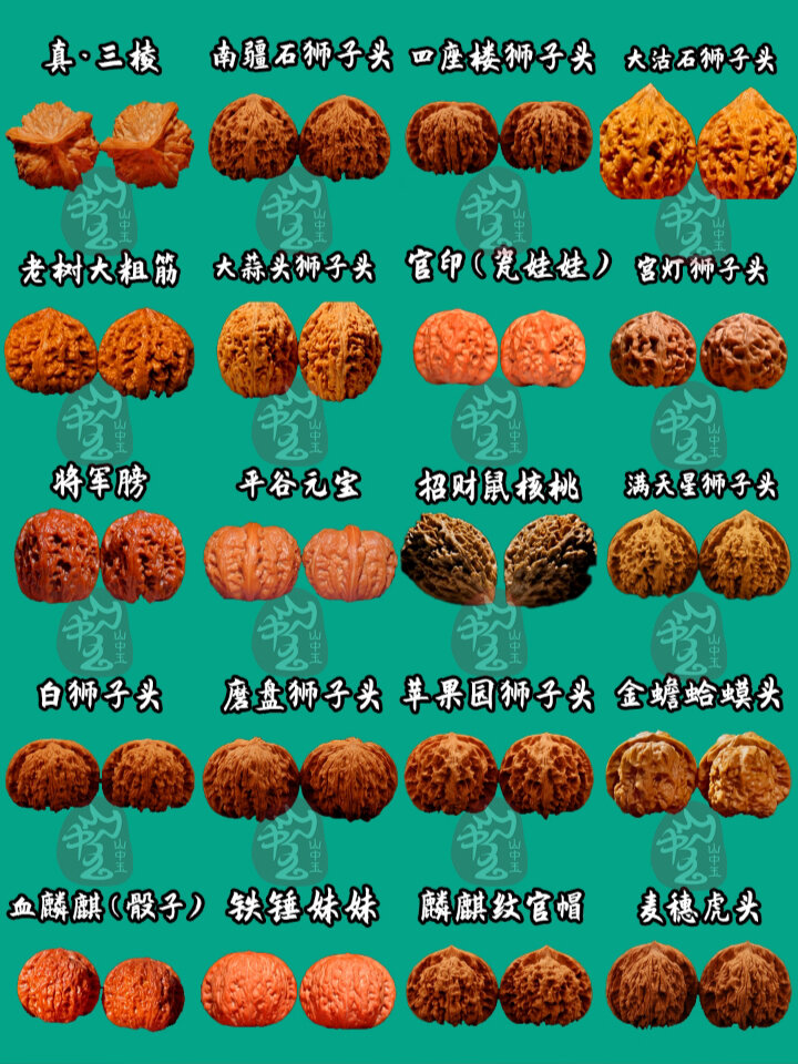 文玩核桃 品种大全